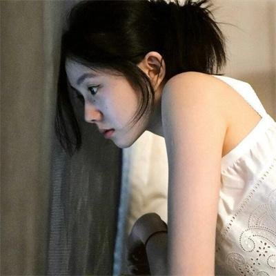 爱是一只猫