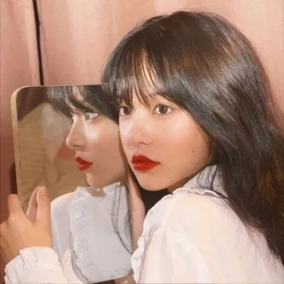 蛇和猫鼬